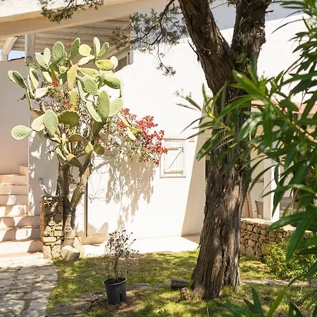 Sul Golfo - Terrazzo Privato Vista Mare Appartement
